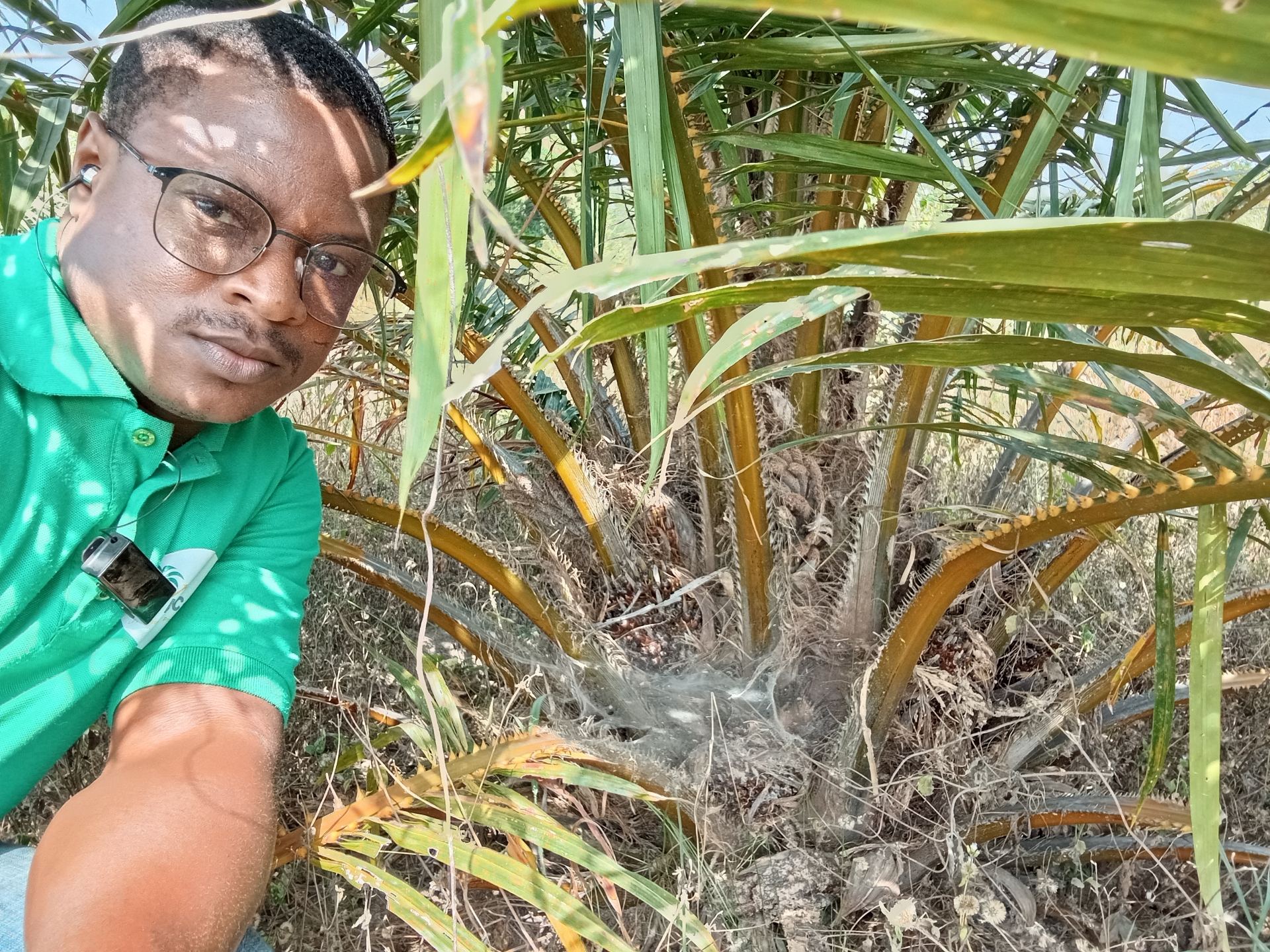 Vous avez la terre ? Nous la transformons en plantation productive