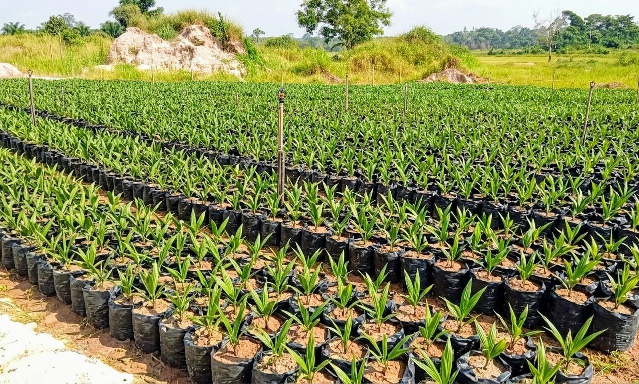 Bâtissons votre patrimoine agricole durable
